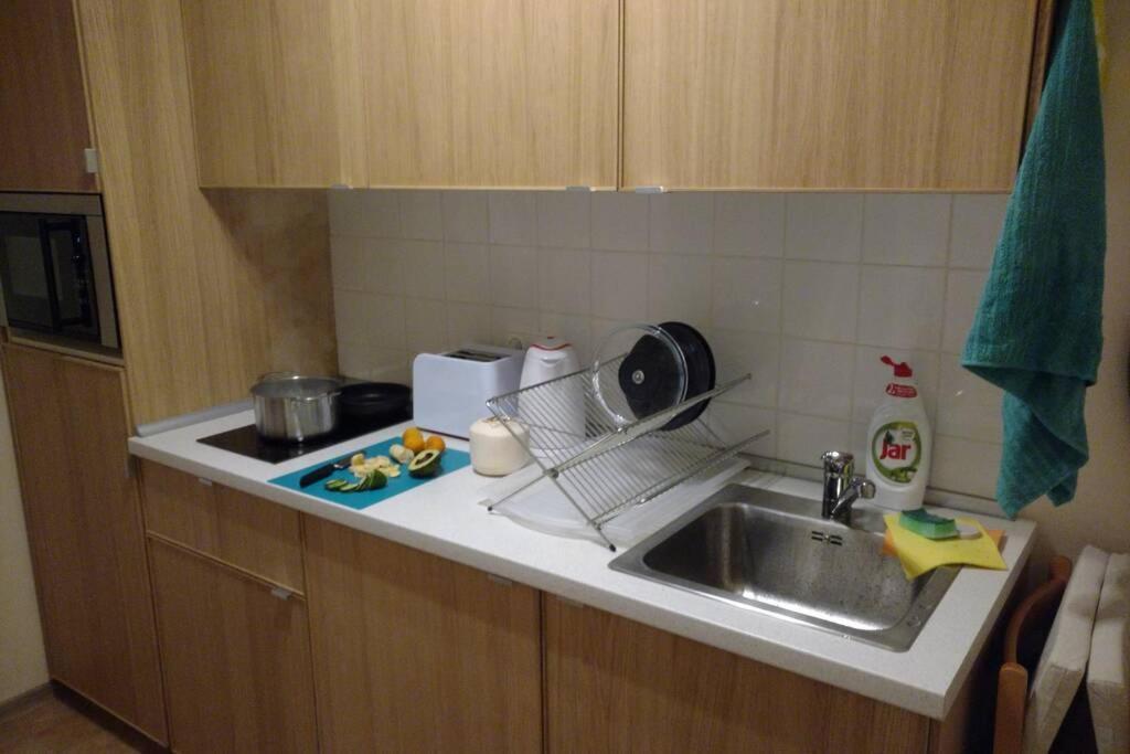 Marvelous Apartment In The Center Of براغ المظهر الخارجي الصورة